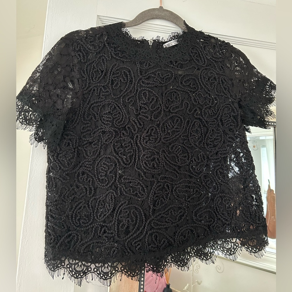 Zara Lace and Embroidered Going Out Top